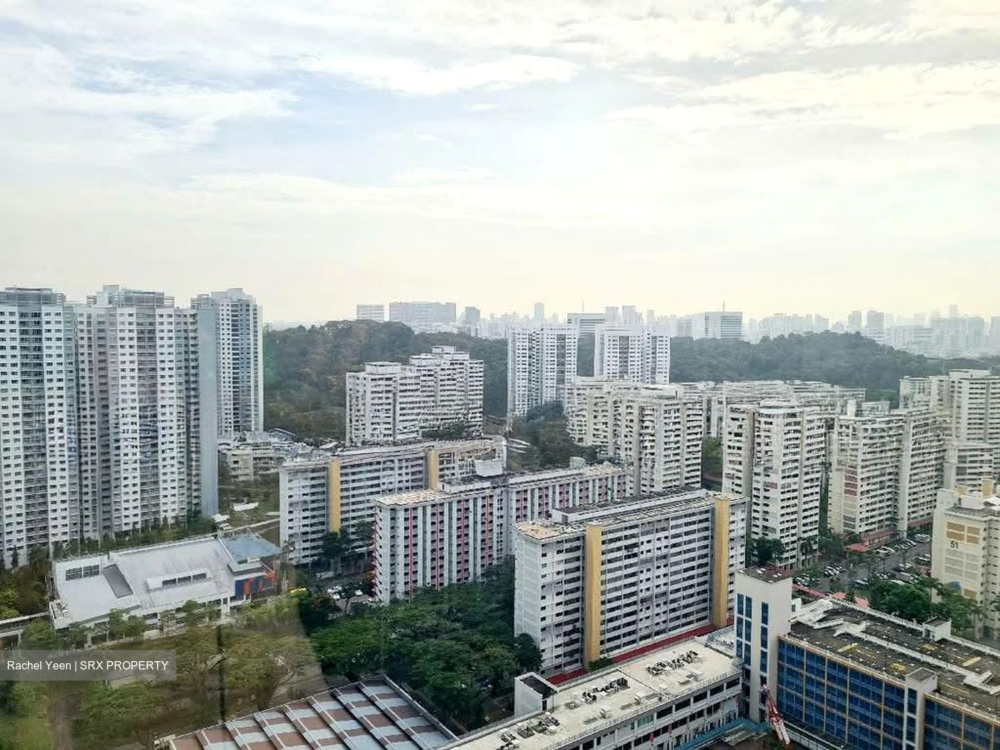 Skyline Residences (D4), Condominium #576493091